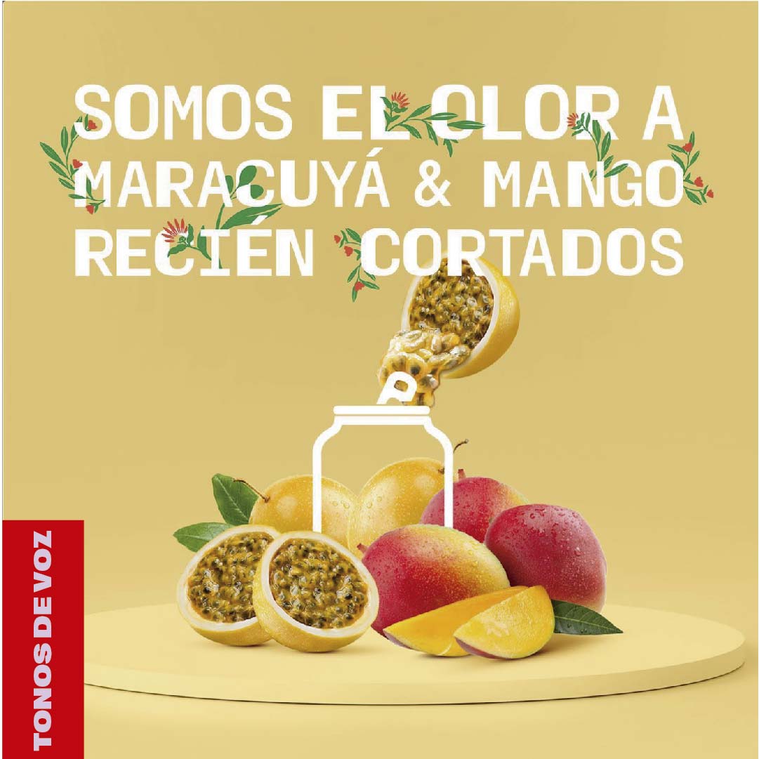 portafolio EDR-06